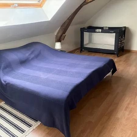 Spacieux Renove En 1850 Avec Grand Jardin, Terrasse, Jeux Pour Enfants Et Equipements Modernes ! - Fr-1-410-172 Pontvallain